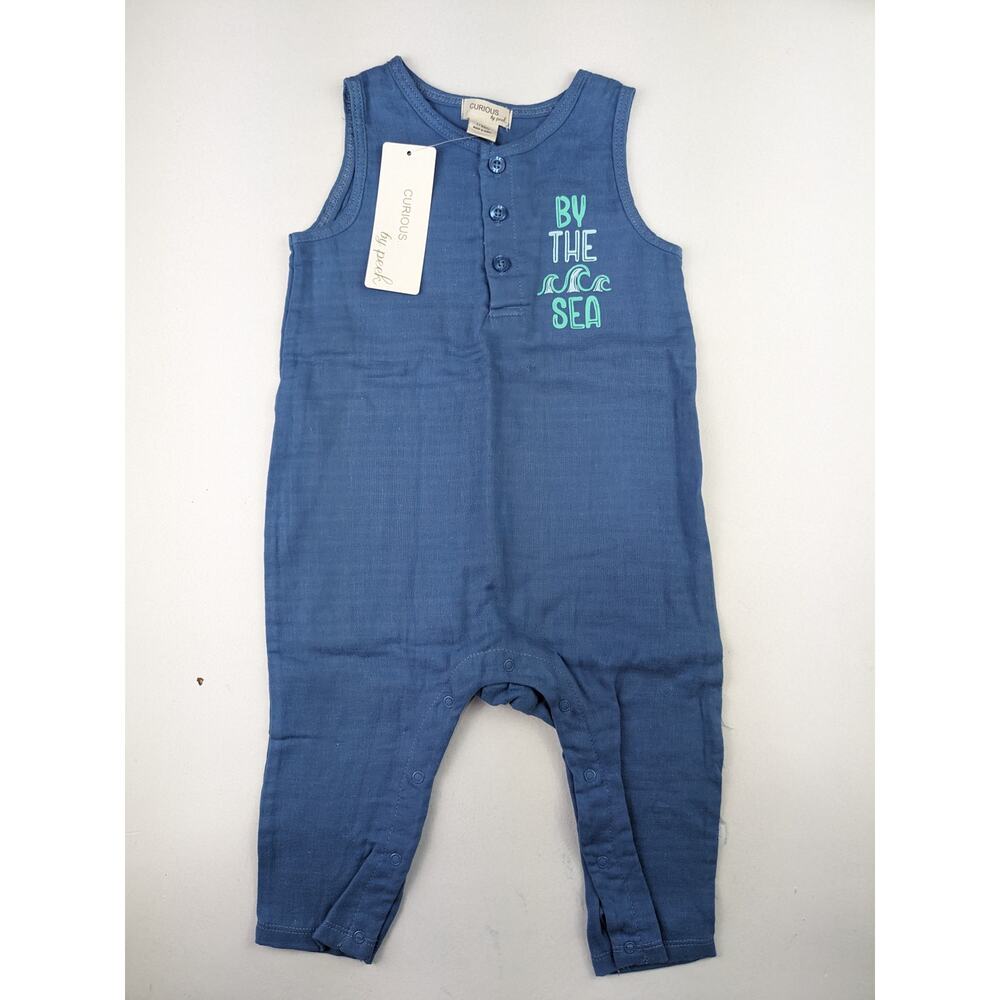 Curious by Peek Blue Romper 12-18 Months